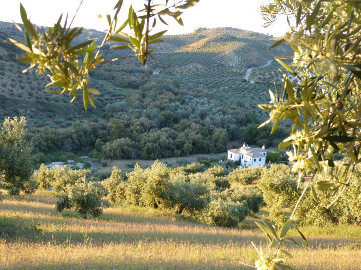 Casa Olea Bed & Breakfast Priego de Córdoba Екстериор снимка