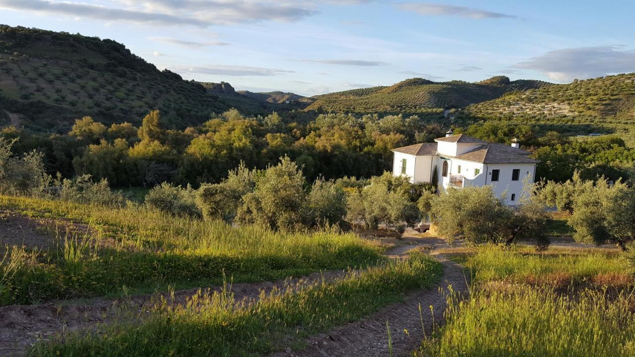 Casa Olea Bed & Breakfast Priego de Córdoba Екстериор снимка
